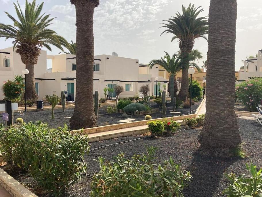 Corralejo Suite Pool & Gardens - Alisios Playa Экстерьер фото