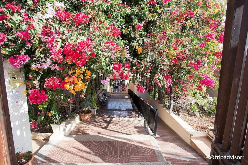 Corralejo Suite Pool & Gardens - Alisios Playa Экстерьер фото