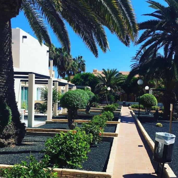 Corralejo Suite Pool & Gardens - Alisios Playa Экстерьер фото